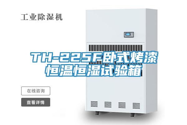 TH-225F臥式烤漆恒溫恒濕試驗箱