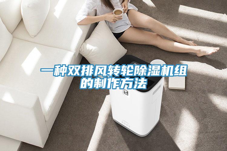一種雙排風(fēng)轉(zhuǎn)輪除濕機組的制作方法