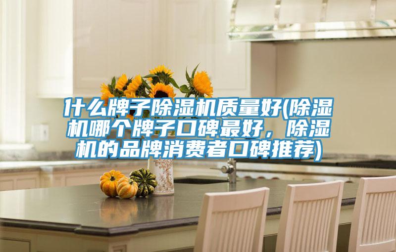 什么牌子除濕機質量好(除濕機哪個牌子口碑最好，除濕機的品牌消費者口碑推薦)