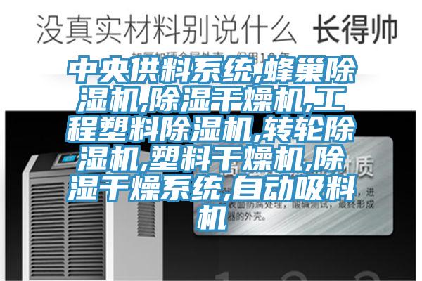 中央供料系統,蜂巢除濕機,除濕干燥機,工程塑料除濕機,轉輪除濕機,塑料干燥機,除濕干燥系統,自動吸料機