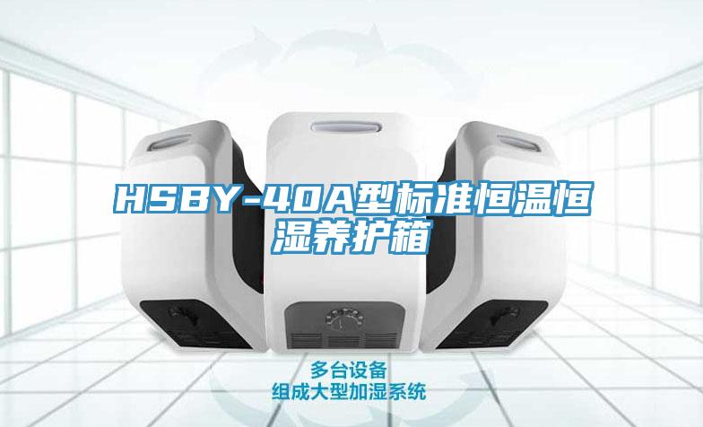 HSBY-40A型標(biāo)準(zhǔn)恒溫恒濕養(yǎng)護(hù)箱