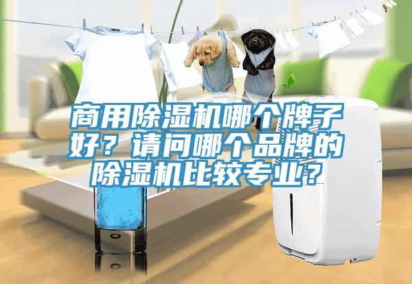 商用除濕機(jī)哪個牌子好？請問哪個品牌的除濕機(jī)比較專業(yè)？
