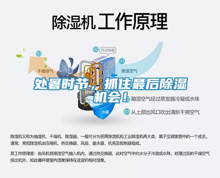 處暑時節，抓住最后除濕機會！
