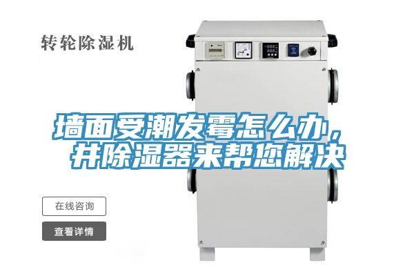 墻面受潮發(fā)霉怎么辦,東井除濕器來幫您解決