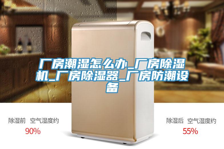 廠房潮濕怎么辦_廠房除濕機_廠房除濕器_廠房防潮設備