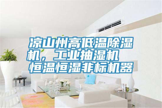 涼山州高低溫除濕機，工業抽濕機  恒溫恒濕非標機器