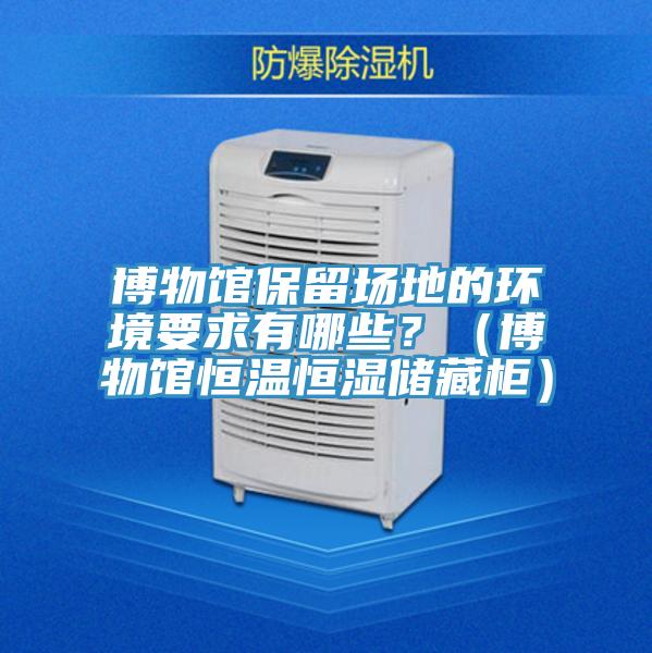 博物館保留場地的環(huán)境要求有哪些？（博物館恒溫恒濕儲(chǔ)藏柜）