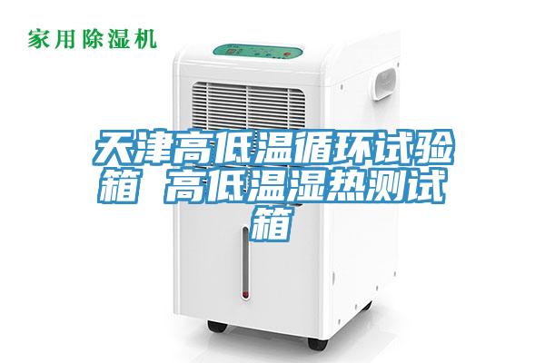 天津高低溫循環試驗箱 高低溫濕熱測試箱