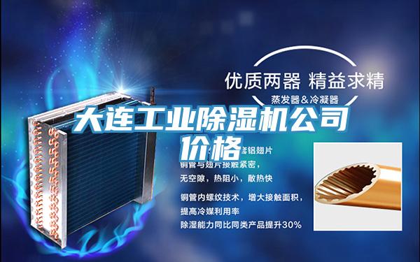 大連工業除濕機公司價格