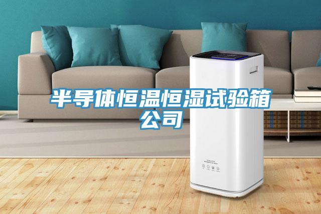 半導(dǎo)體恒溫恒濕試驗箱公司