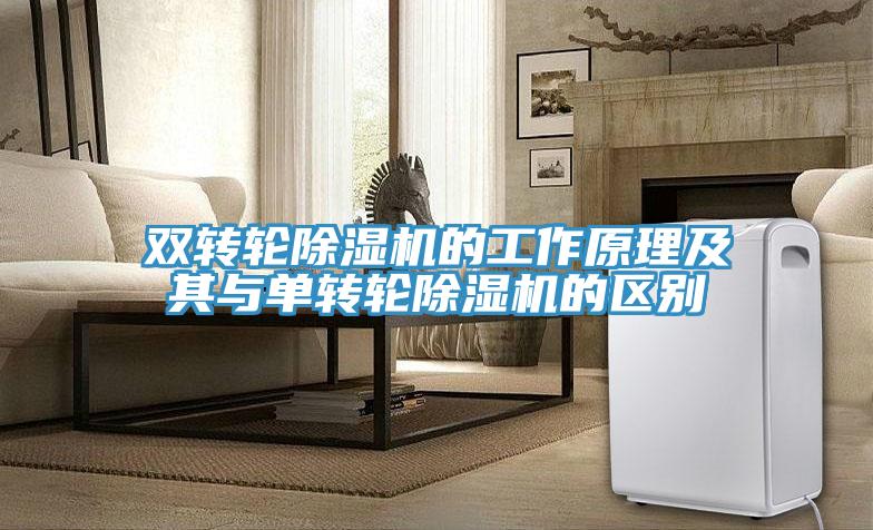 雙轉(zhuǎn)輪除濕機的工作原理及其與單轉(zhuǎn)輪除濕機的區(qū)別
