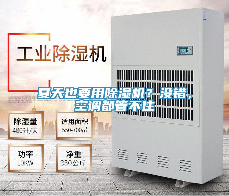 夏天也要用除濕機?沒錯,空調都管不住