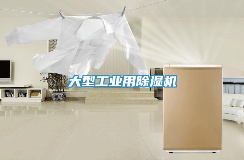 大型工業(yè)用除濕機(jī)