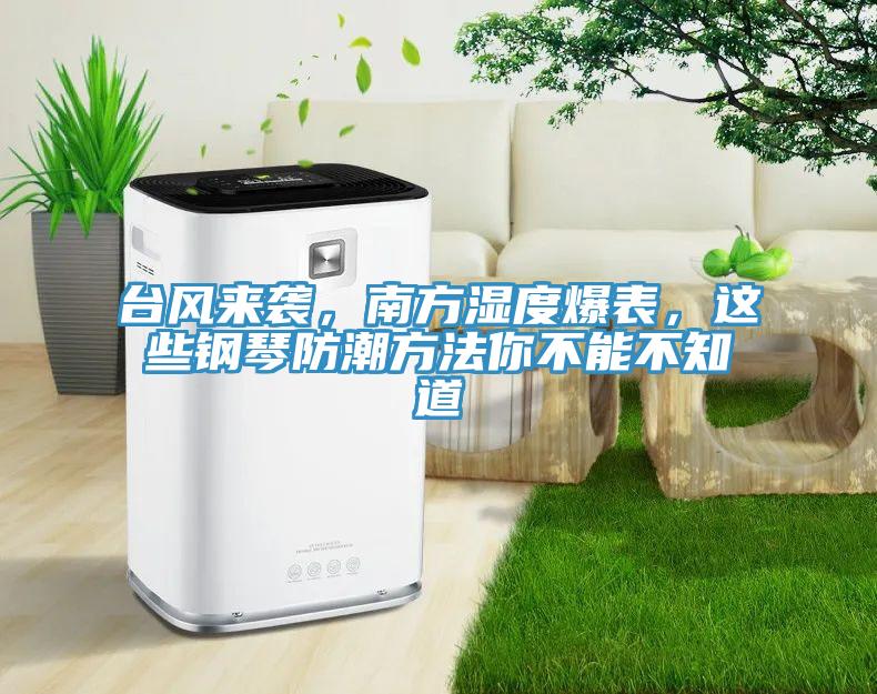 臺風來襲，南方濕度爆表，這些鋼琴防潮方法你不能不知道