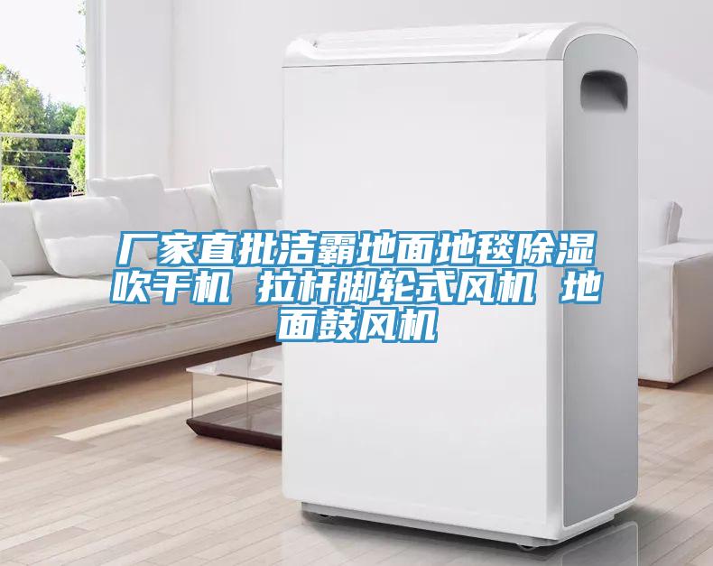廠家直批潔霸地面地毯除濕吹干機 拉桿腳輪式風機 地面鼓風機