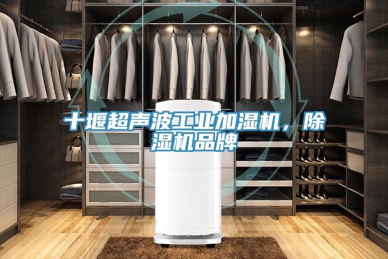 十堰超聲波工業(yè)加濕機(jī)，除濕機(jī)品牌