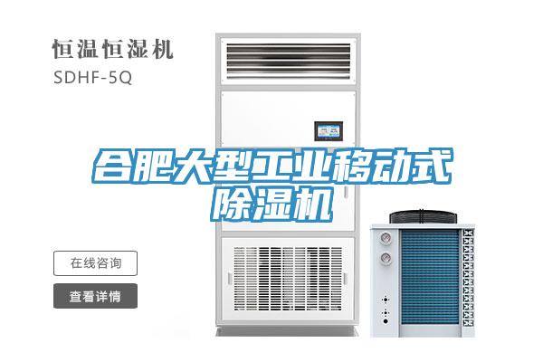 合肥大型工業移動式除濕機