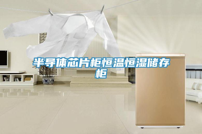半導(dǎo)體芯片柜恒溫恒濕儲存柜