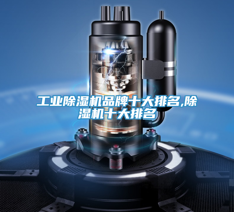 工業(yè)除濕機(jī)品牌十大排名,除濕機(jī)十大排名