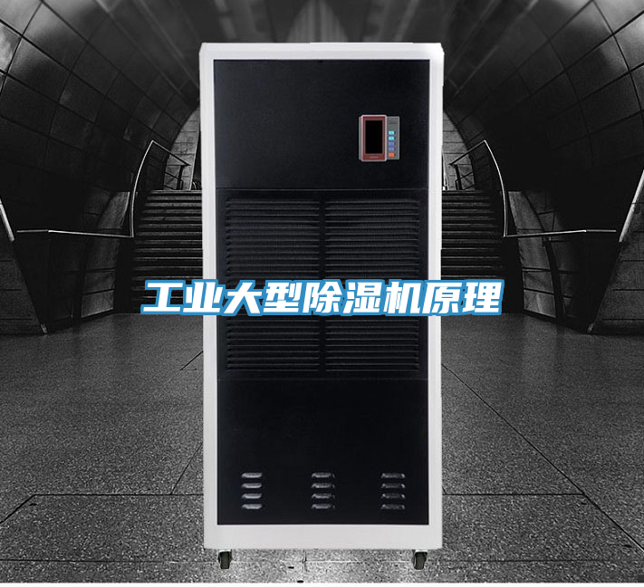 工業(yè)大型除濕機原理