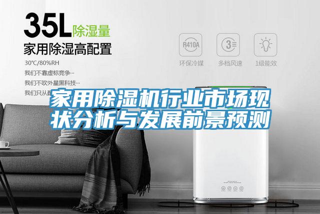 家用除濕機行業(yè)市場現(xiàn)狀分析與發(fā)展前景預(yù)測