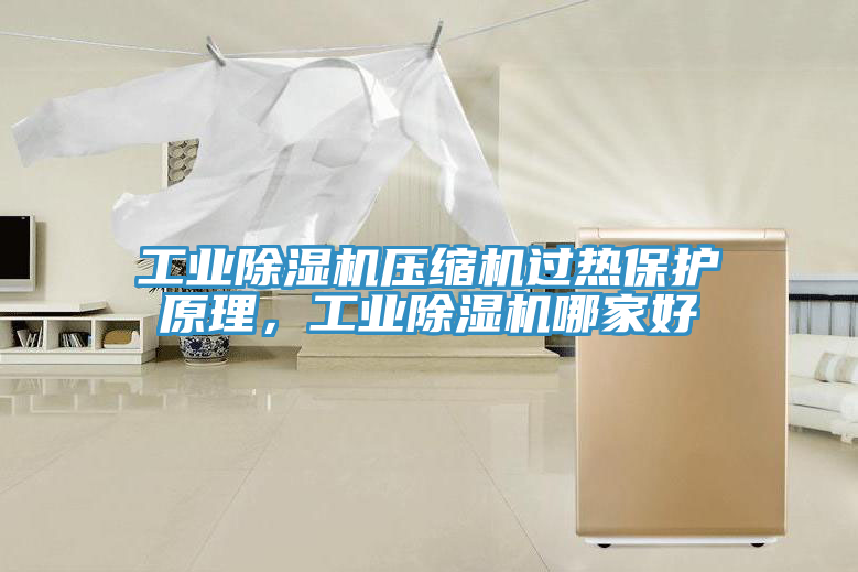 工業除濕機壓縮機過熱保護原理，工業除濕機哪家好