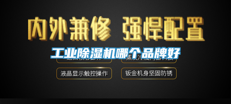 工業(yè)除濕機(jī)哪個(gè)品牌好