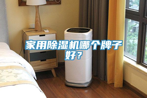 家用除濕機哪個牌子好？