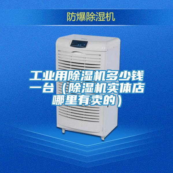 工業用除濕機多少錢一臺（除濕機實體店哪里有賣的）