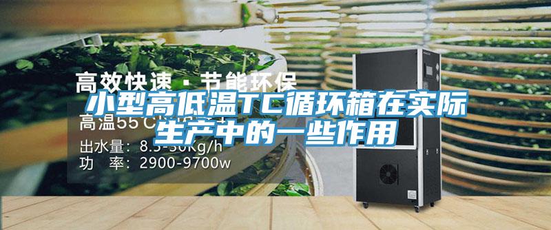 小型高低溫TC循環(huán)箱在實際生產(chǎn)中的一些作用