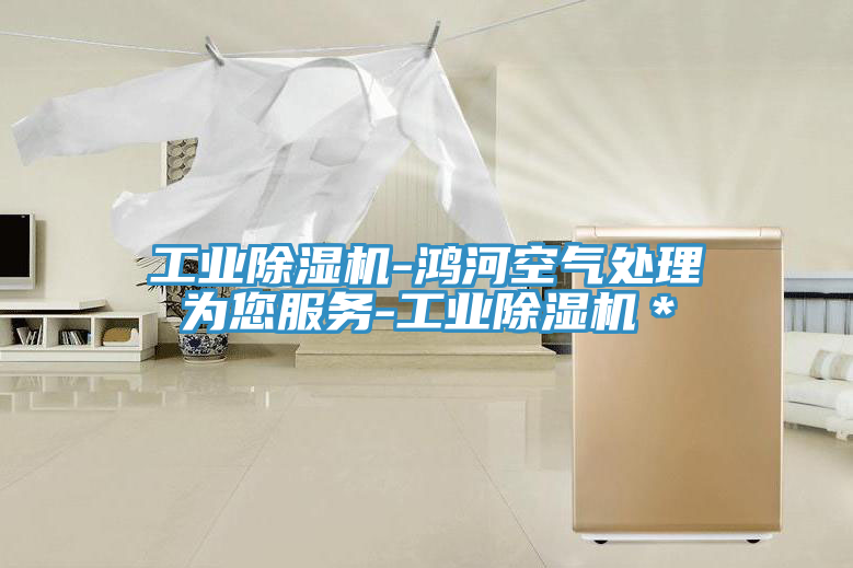 工業除濕機-鴻河空氣處理為您服務-工業除濕機＊