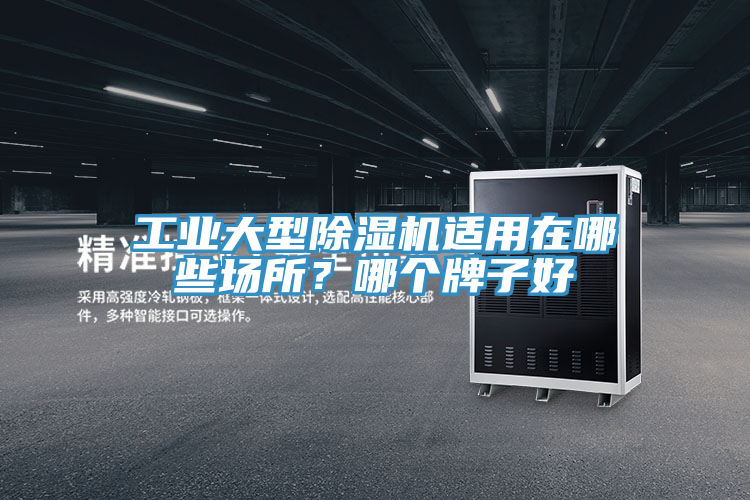 工業(yè)大型除濕機適用在哪些場所？哪個牌子好