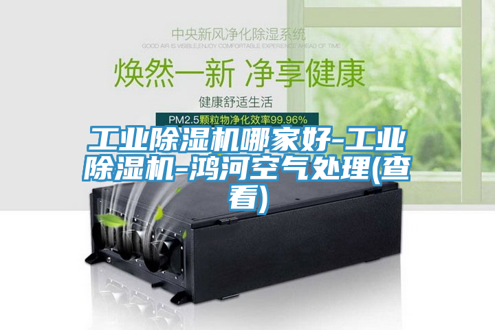 工業除濕機哪家好-工業除濕機-鴻河空氣處理(查看)
