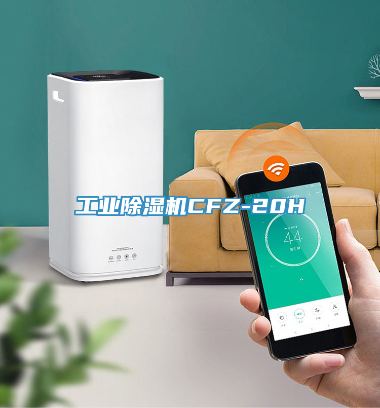 工業(yè)除濕機(jī)CFZ-20H
