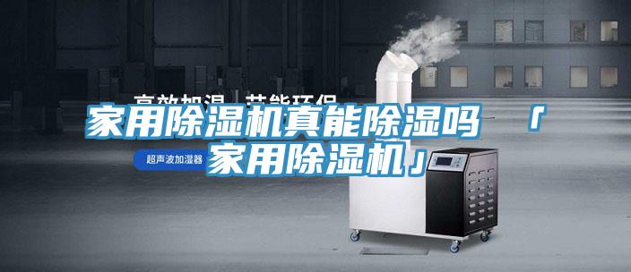 家用除濕機真能除濕嗎 「家用除濕機」