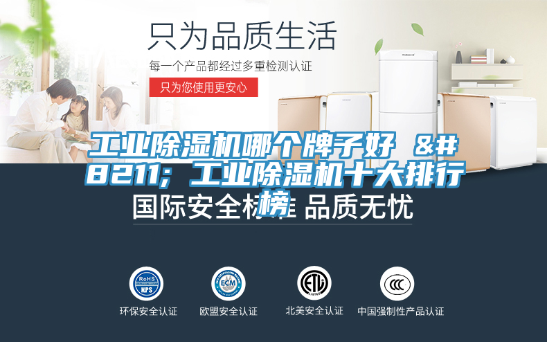 工業(yè)除濕機(jī)哪個(gè)牌子好 – 工業(yè)除濕機(jī)十大排行榜
