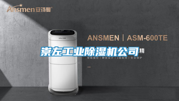 崇左工業除濕機公司