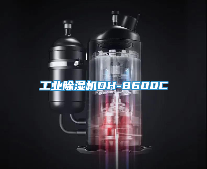 工業(yè)除濕機(jī)DH-8600C