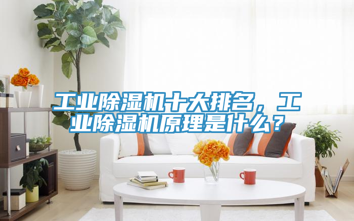 工業除濕機十大排名，工業除濕機原理是什么？