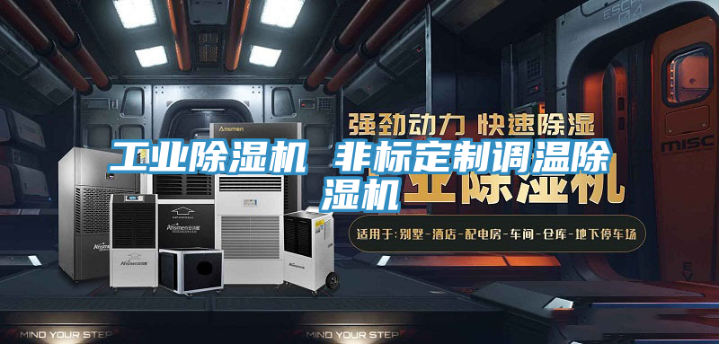 工業(yè)除濕機(jī) 非標(biāo)定制調(diào)溫除濕機(jī)