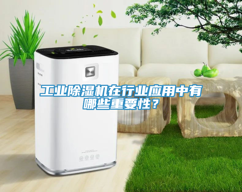 工業除濕機在行業應用中有哪些重要性？