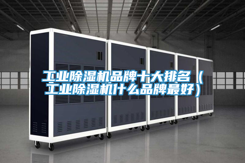 工業(yè)除濕機(jī)品牌十大排名（工業(yè)除濕機(jī)什么品牌最好）