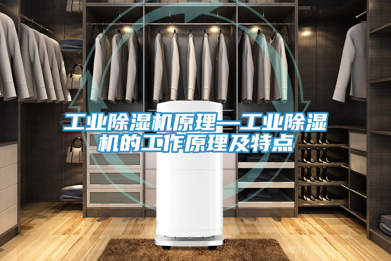 工業除濕機原理—工業除濕機的工作原理及特點