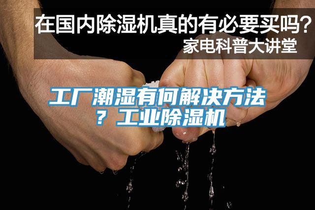 工廠潮濕有何解決方法？工業除濕機