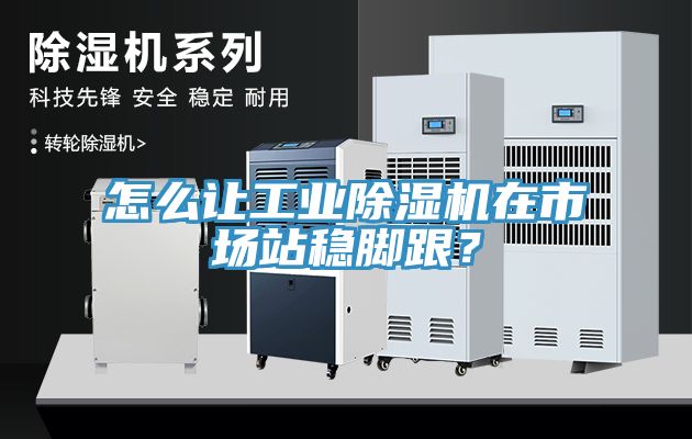 怎么讓工業除濕機在市場站穩腳跟？