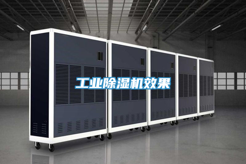 工業(yè)除濕機效果