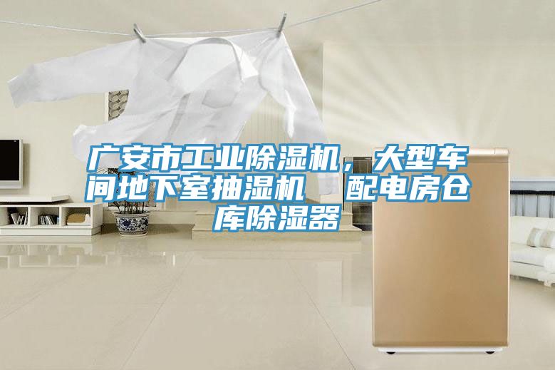 廣安市工業(yè)除濕機(jī)，大型車間地下室抽濕機(jī)  配電房倉庫除濕器