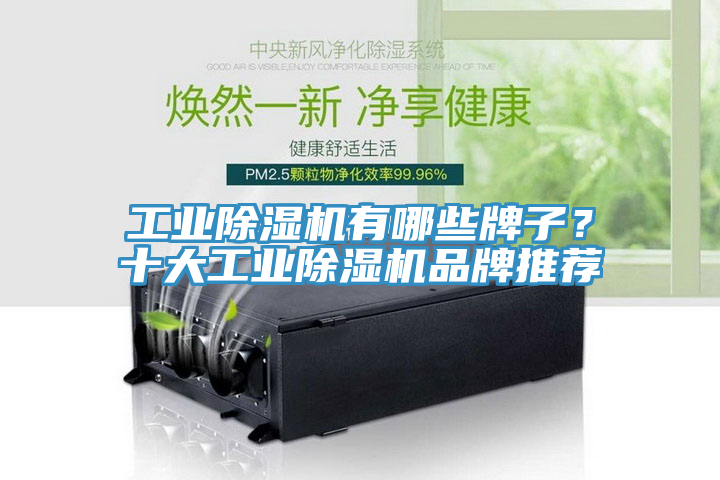 工業除濕機有哪些牌子？十大工業除濕機品牌推薦