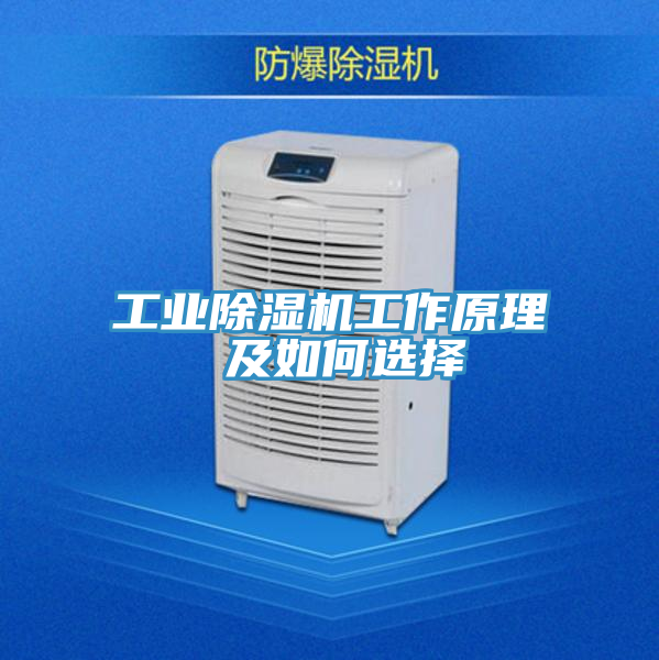 工業(yè)除濕機(jī)工作原理 及如何選擇