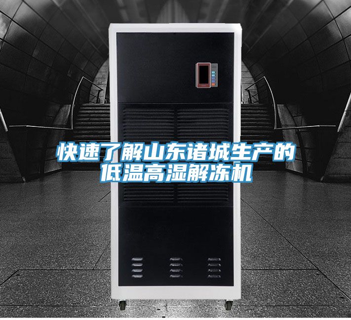 快速了解山東諸城生產(chǎn)的低溫高濕解凍機